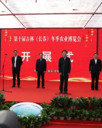  球迷文化蓬勃发展，主场氛围愈发热烈