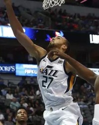  戈贝尔盖帽盛宴森林狼力克爵士