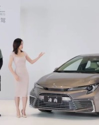  青训营潜力新星涌现，未来之星备受期待  