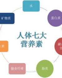  網球員饮食管理揭秘，营养师定制能量补给方案