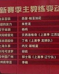  教练战术革新，球队战绩显著攀升