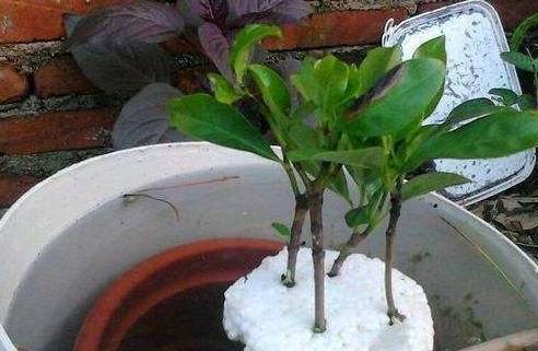  足协新政落地生根，联赛生态呈现崭新气象