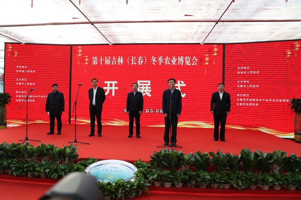  球迷文化蓬勃发展，主场氛围愈发热烈